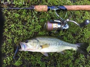 ¥Ö¥é¥Ã¥¯¥Ð¥¹