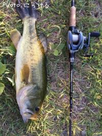 �֥�å��Х�