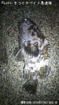 ²«¶â¥à¥é¥½¥¤