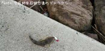 �ޥ���