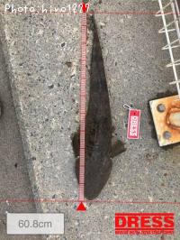�ޥ���