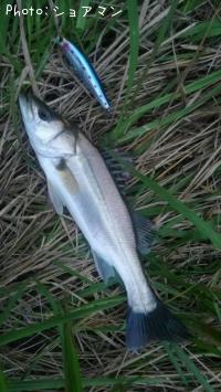 �����Х�