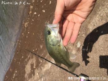 �֥�å��Х�