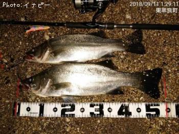 �ҥ饹����