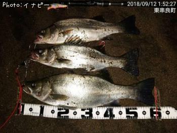 �ҥ饹����