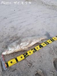 �����Х�