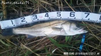 �����Х�