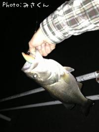 �֥�å��Х�