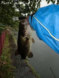 ¥Ö¥é¥Ã¥¯¥Ð¥¹