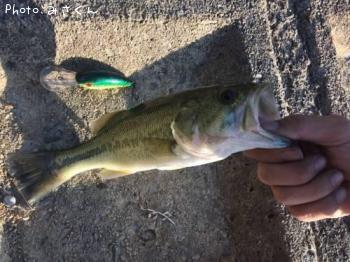 �֥�å��Х�