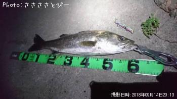 �����Х�