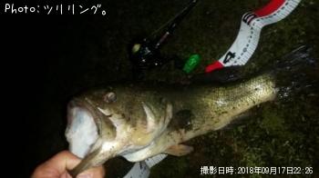 �֥�å��Х�