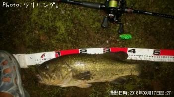 �֥�å��Х�