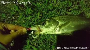 �����Х�