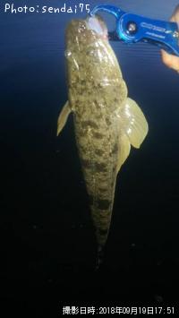 �ޥ���