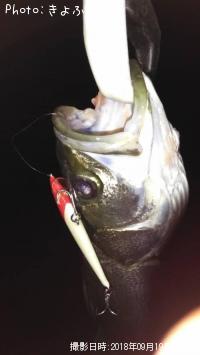 �����Х�