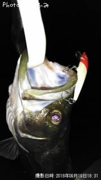 �����Х�