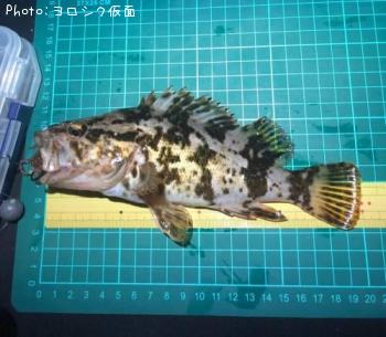 �����Υ���Х�