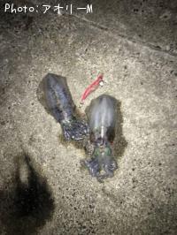 �����ꥤ��