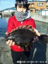 ¥«¥ï¥¬¥ì¥¤