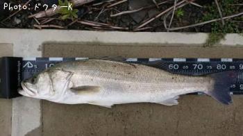 �����Х�