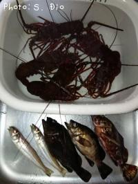 ������������������