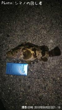 �����Υ���Х�