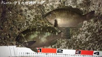 ¸ýÂÀ¥á¥¸¥Ê