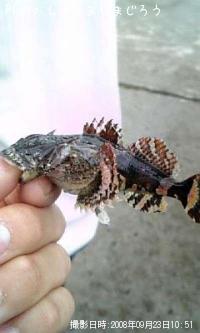 ¥®¥¹¥«¥¸¥«