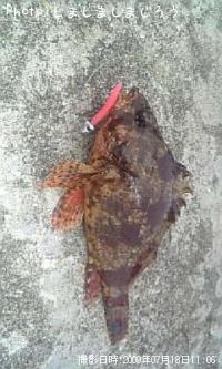 �������Х�