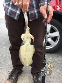 ��󥴥�����