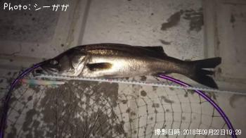 �����Х�