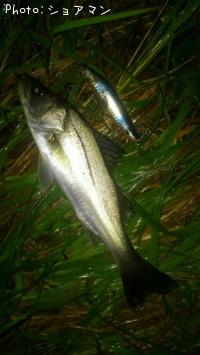 �����Х�