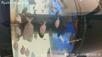 �Σϡ��ƣɣȣ�