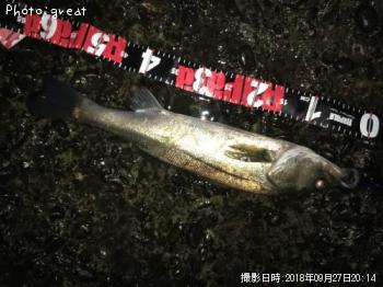 �����Х�