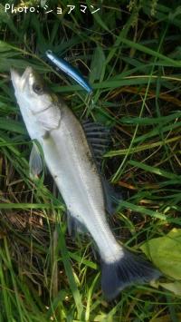 �����Х�