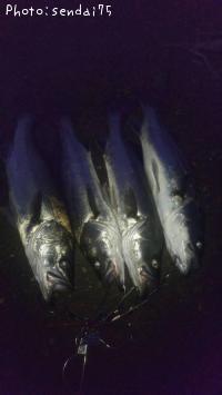 �����Х�