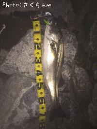 �����Х�