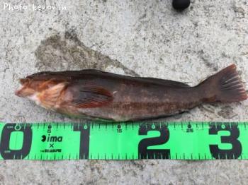 �����ʥ�