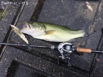 �֥�å��Х�