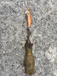 �����ꥤ��