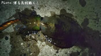 ¥¢¥ª¥ê¥¤¥«¡¢¥¥¸¥Ï¥¿¡¢¥Ò¥é¥»¥¤¥´¡¢¥¢¥¸¡¢¥à¥Ä