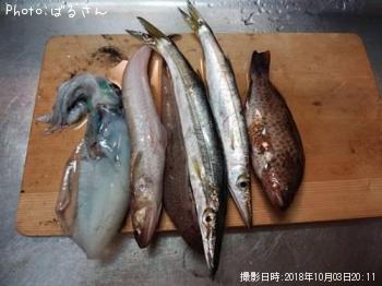 �����ꥤ��