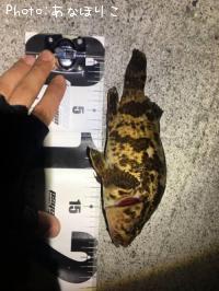 �٥å�������