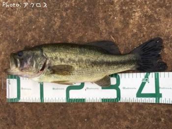 �顼���ޥ����Х�