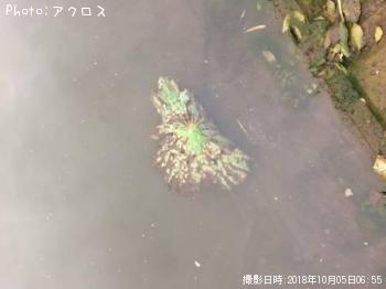 �顼���ޥ����Х�