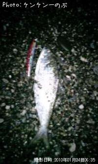 ���Υ���