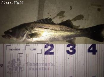 �����Х�