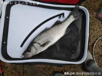 �ҥ饻����