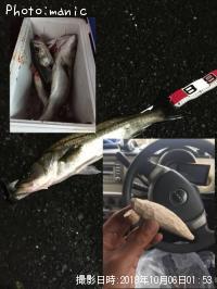 �����Х�